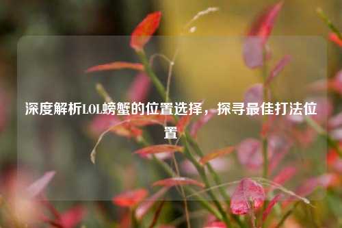 深度解析LOL螃蟹的位置选择,探寻最佳打法位置