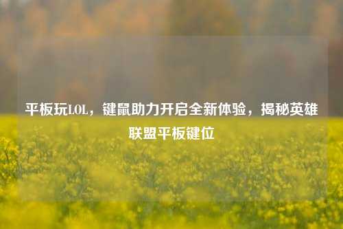 平板玩LOL,键鼠助力开启全新体验,揭秘英雄联盟平板键位