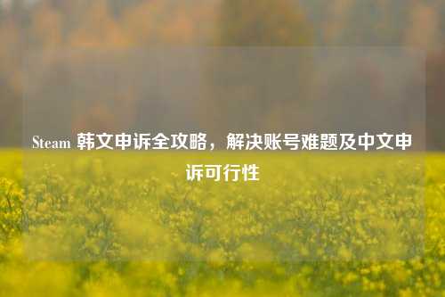Steam 韩文申诉全攻略,解决账号难题及中文申诉可行性