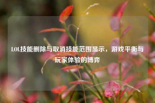 LOL技能删除与取消技能范围显示,游戏平衡与玩家体验的博弈