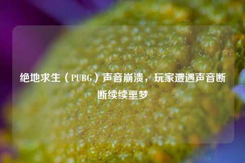 绝地求生(PUBG)声音崩溃,玩家遭遇声音断断续续噩梦