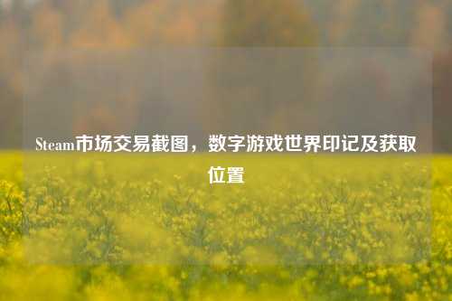 Steam市场交易截图,数字游戏世界印记及获取位置