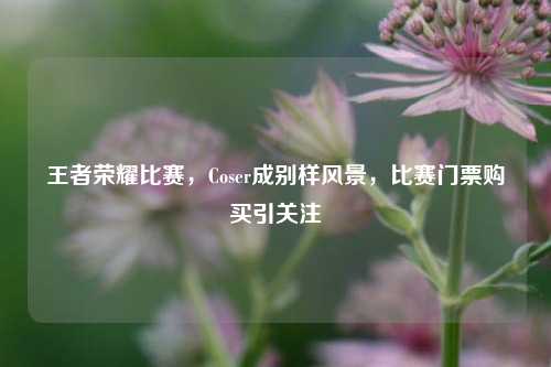 王者荣耀比赛,Coser成别样风景,比赛门票购买引关注