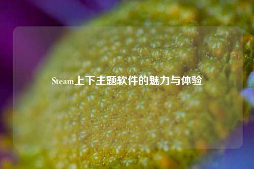 Steam上下主题软件的魅力与体验
