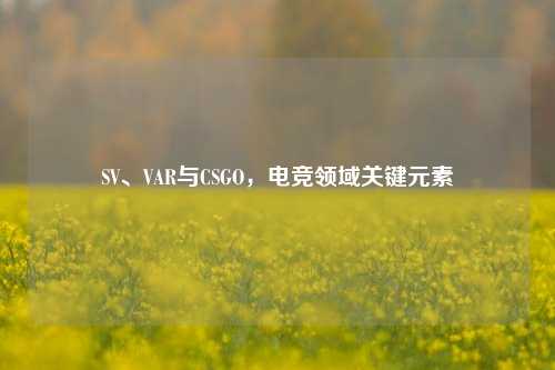 SV、VAR与CSGO,电竞领域关键元素