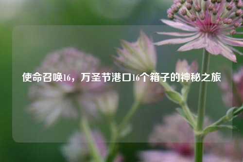 使命召唤16,万圣节港口16个箱子的神秘之旅
