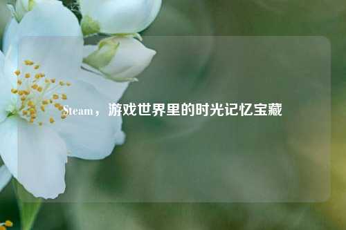 Steam,游戏世界里的时光记忆宝藏