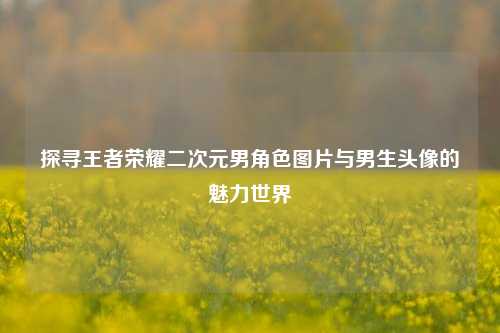 探寻王者荣耀二次元男角色图片与男生头像的魅力世界