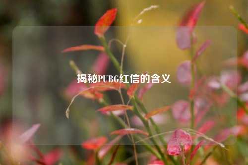 揭秘PUBG红信的含义
