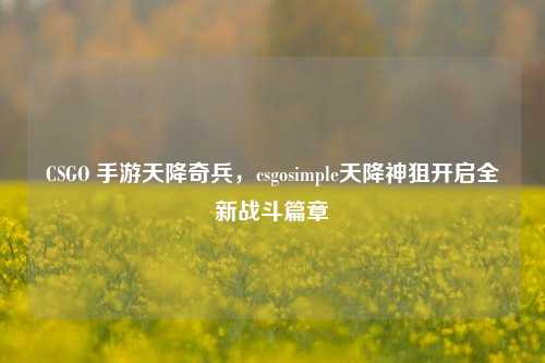 CSGO 手游天降奇兵,csgosimple天降神狙开启全新战斗篇章