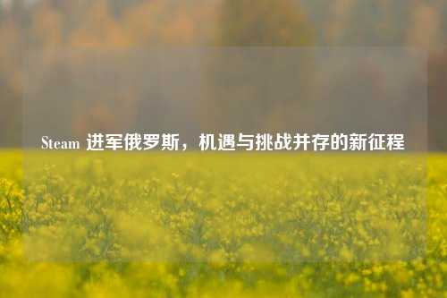 Steam 进军俄罗斯,机遇与挑战并存的新征程