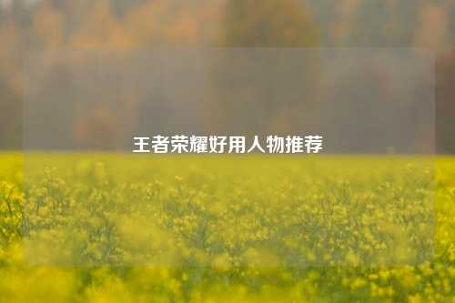 王者荣耀好用人物推荐