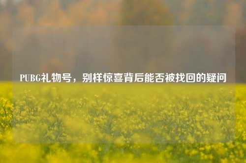 PUBG礼物号,别样惊喜背后能否被找回的疑问