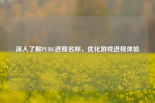 深入了解PUBG进程名称，优化游戏进程体验