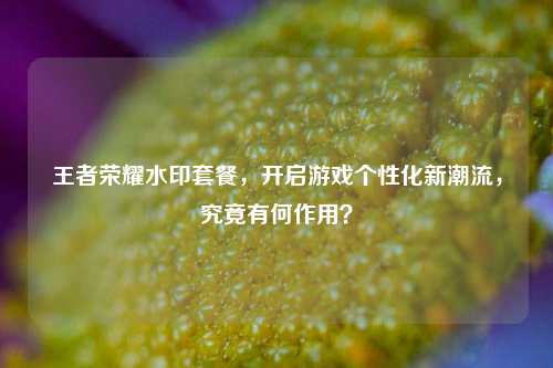 王者荣耀水印套餐，开启游戏个性化新潮流，究竟有何作用？