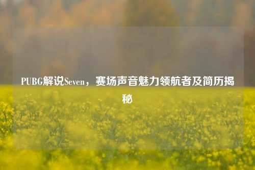 PUBG解说Seven，赛场声音魅力领航者及简历揭秘
