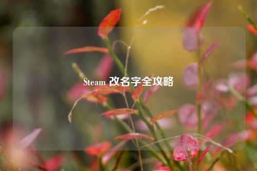 Steam 改名字全攻略