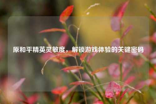 原和平精英灵敏度,解锁游戏体验的关键密码