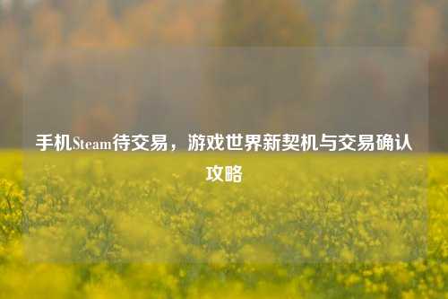 手机Steam待交易，游戏世界新契机与交易确认攻略