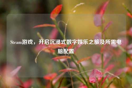 Steam游戏,开启沉浸式数字娱乐之旅及所需电脑配置