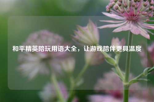 和平精英陪玩用语大全,让游戏陪伴更具温度