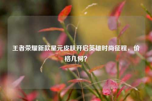 王者荣耀新款星元皮肤开启英雄时尚征程，价格几何？
