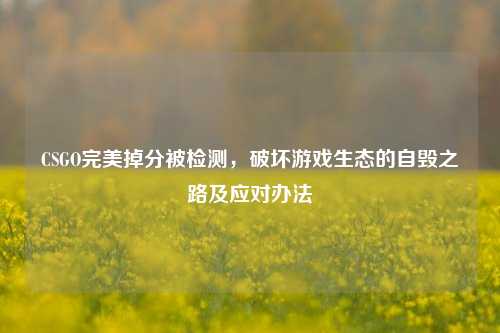 CSGO完美掉分被检测,破坏游戏生态的自毁之路及应对办法