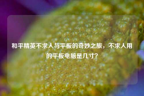 和平精英不求人与平板的奇妙之旅,不求人用的平板电脑是几寸?