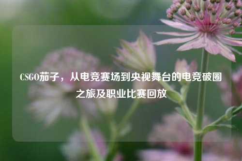 CSGO茄子,从电竞赛场到央视舞台的电竞破圈之旅及职业比赛回放