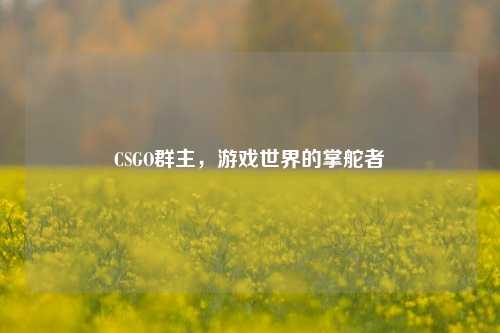 CSGO群主,游戏世界的掌舵者