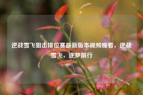 逆战雪飞狙击排位赛最新版本视频观看,逆战雪飞,逐梦前行