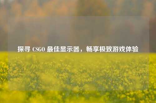 探寻 CSGO 最佳显示器,畅享极致游戏体验
