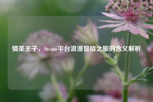 情圣王子，Steam平台浪漫冒险之旅的含义解析