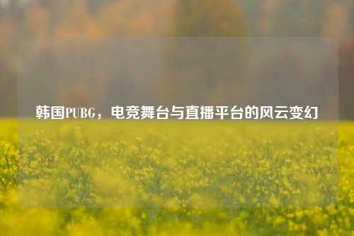 韩国PUBG,电竞舞台与直播平台的风云变幻
