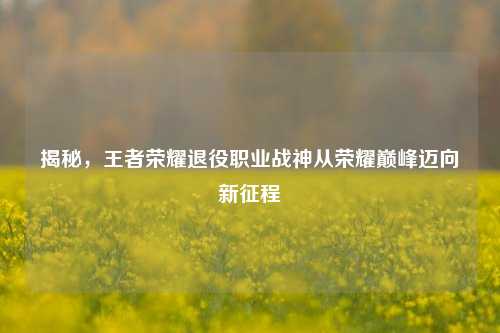 揭秘,王者荣耀退役职业战神从荣耀巅峰迈向新征程