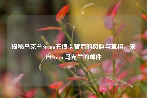 揭秘乌克兰Steam充值卡背后的风险与真相,来自Steam乌克兰的邮件