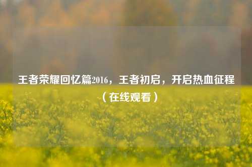 王者荣耀回忆篇2016,王者初启,开启热血征程(在线观看)