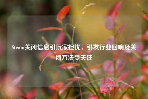 Steam关闭信息引玩家担忧,引发行业回响及关闭方法受关注
