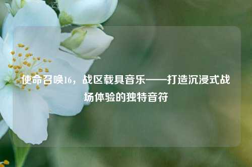 使命召唤16,战区载具音乐——打造沉浸式战场体验的独特音符