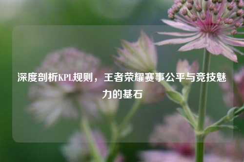 深度剖析KPL规则，王者荣耀赛事公平与竞技魅力的基石