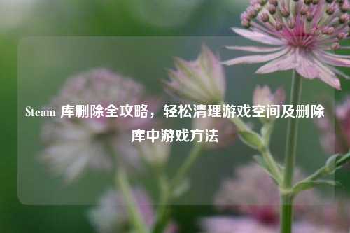 Steam 库删除全攻略,轻松清理游戏空间及删除库中游戏方法