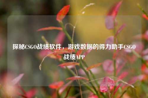 探秘CSGO战绩软件,游戏数据的得力助手CSGO战绩APP