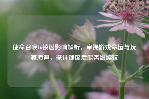 使命召唤16锁区影响解析，审视游戏命运与玩家境遇，探讨锁区后能否继续玩