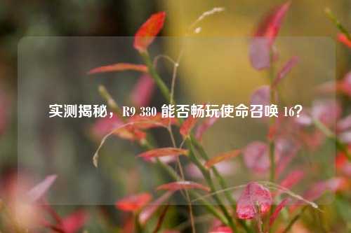 实测揭秘,R9 380 能否畅玩使命召唤 16?