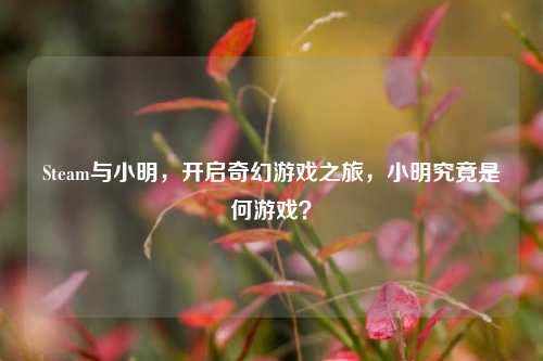 Steam与小明，开启奇幻游戏之旅，小明究竟是何游戏？