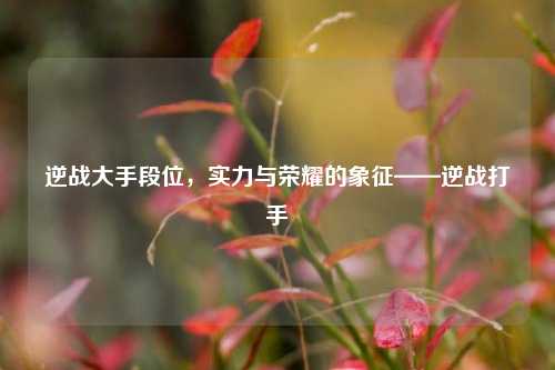 逆战大手段位,实力与荣耀的象征——逆战打手