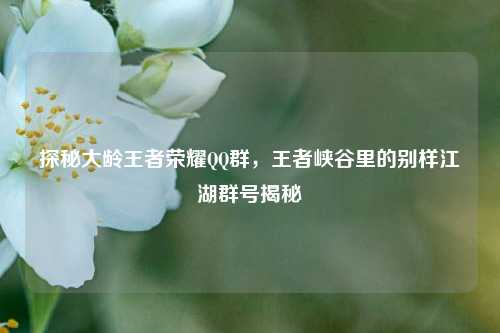 探秘大龄王者荣耀QQ群，王者峡谷里的别样江湖群号揭秘