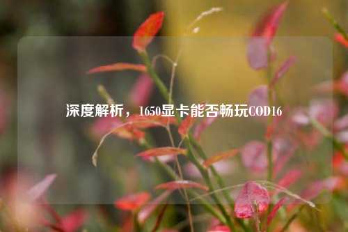 深度解析，1650显卡能否畅玩COD16