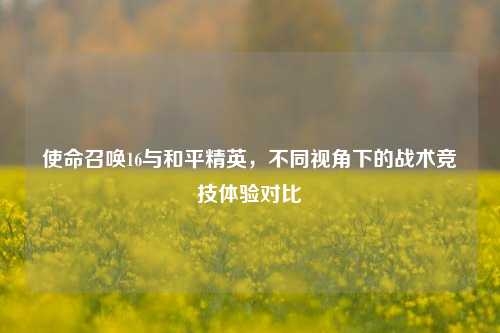 使命召唤16与和平精英,不同视角下的战术竞技体验对比