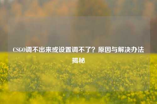 CSGO调不出来或设置调不了?原因与解决办法揭秘